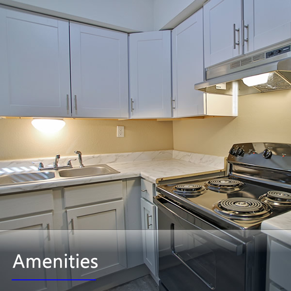 Features and Amenities